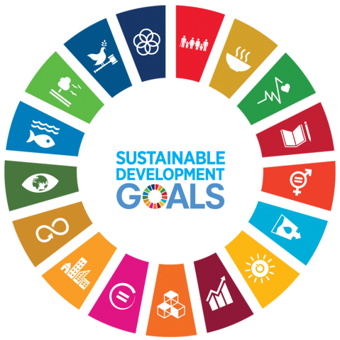 Sustainable Development GOALS